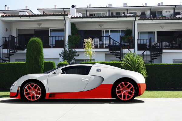 White, red, beautiful bugatti, veyron! Supercar