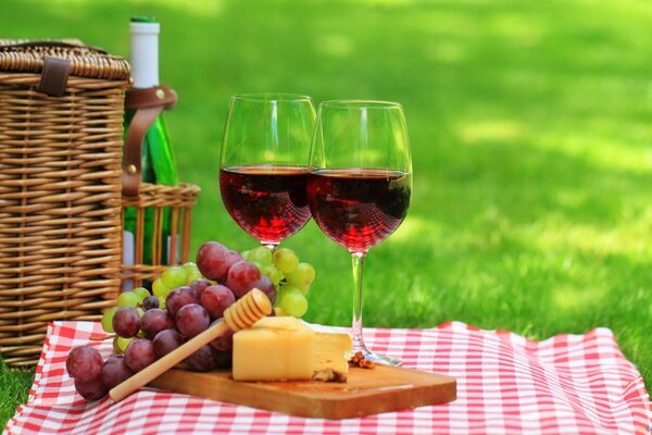 Picknick auf einem karierten Plaid. Wein und Käse