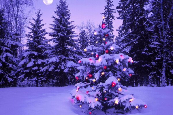 Arbre de Noël décoré dans la forêt d hiver