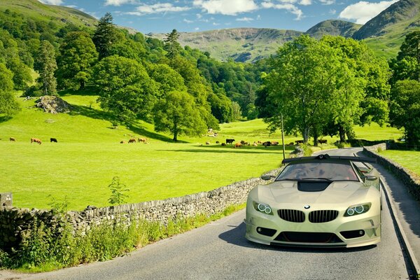 BMW car on the road against the backdrop of a picturesque landscape