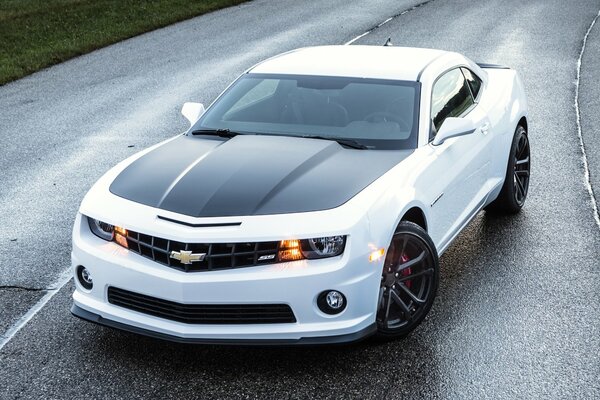 White Chevrolet Camaro car on the road