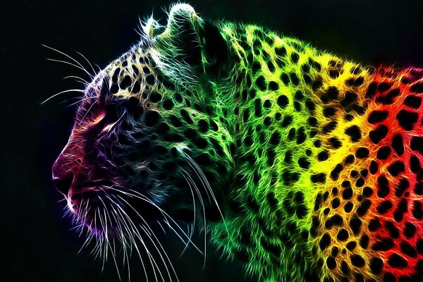Tigre en un colorido espectacular por la noche