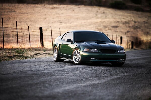 Green mustang on the road against the background of the field and fencing