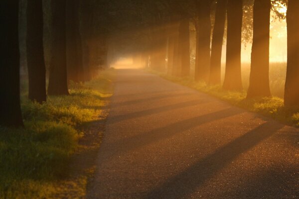 Ein kühler Morgen in einer einsamen Gasse