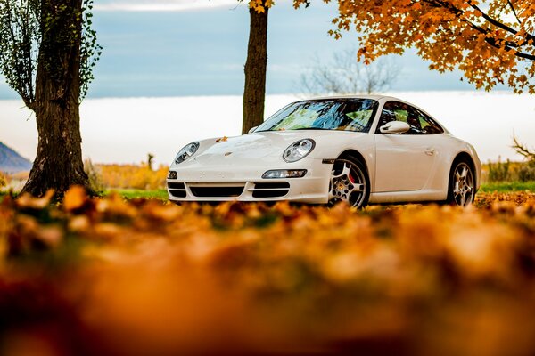 Porsche bianca circondata da foglie autunnali