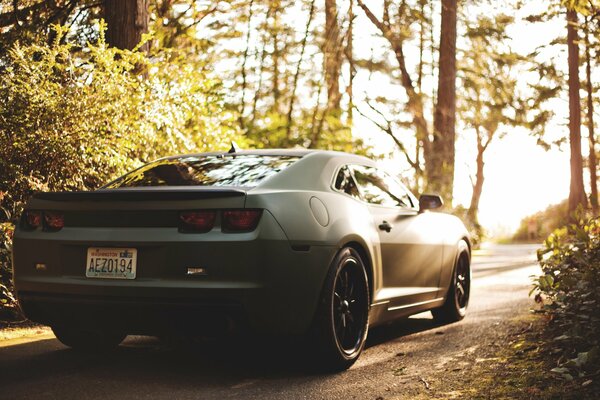 Schwarzer Chevrolet Camaro. Nacht Racer