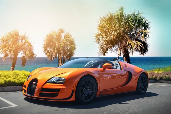 There is an orange car near the ocean with palm trees