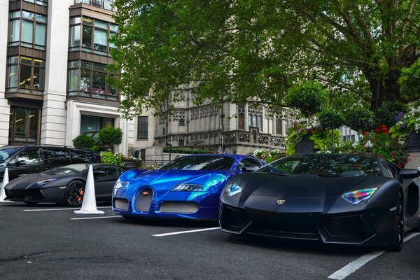 Plusieurs supercars dans un parking sous un arbre