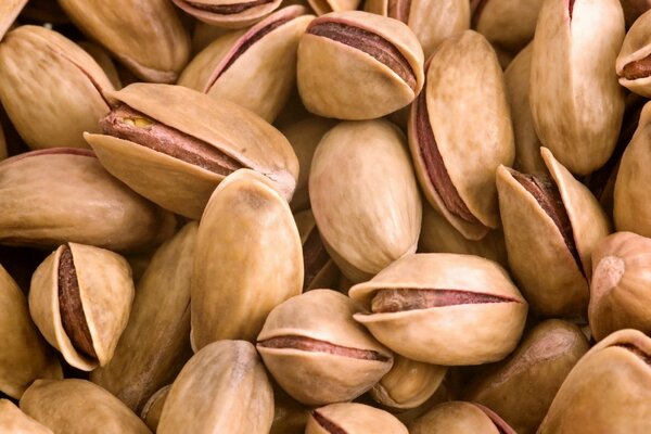 Los pistachos favoritos del mundo