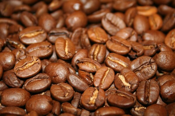 Beaucoup de grains de café en vrac