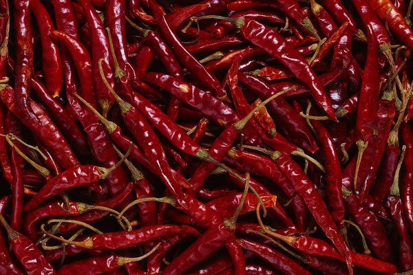 Piment rouge sur fond