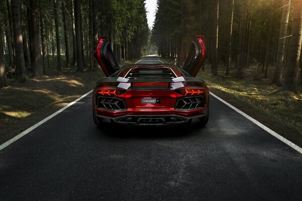 Lamborghini rojo con puertas levantadas. En el camino en el bosque