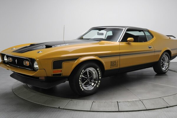 Mustang marrone fresco del 1971