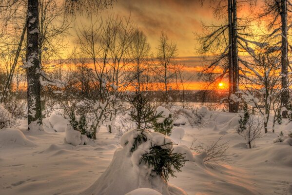 Hipnotyzująca zimowa przyroda z zachodem słońca na niebie i białymi chmurami