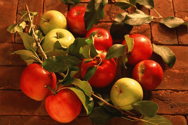 Récolte d automne juteuse de pommes