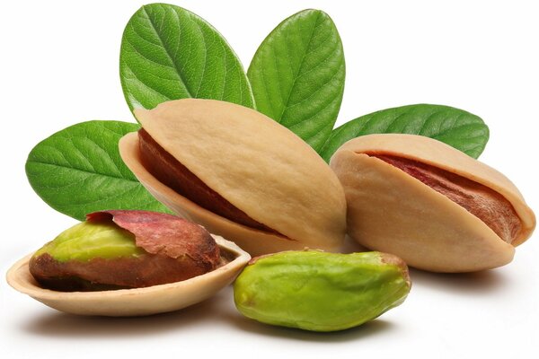 Delicious pistachio nuts with green leaves