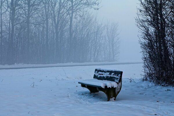 Banco cubierto de nieve en el parque brumoso