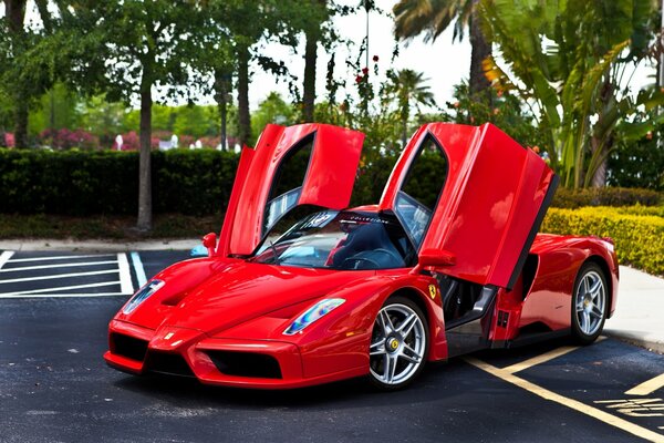 Czerwone ferrari Enzo na parkingu wśród drzew