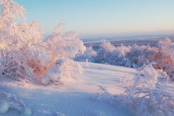 Sonniger Tag in einer verschneiten Landschaft