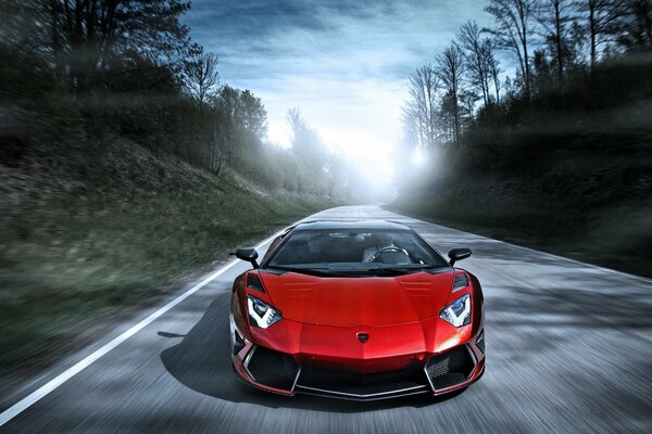 Lamborghini rojo corre por el bosque de niebla en sosa