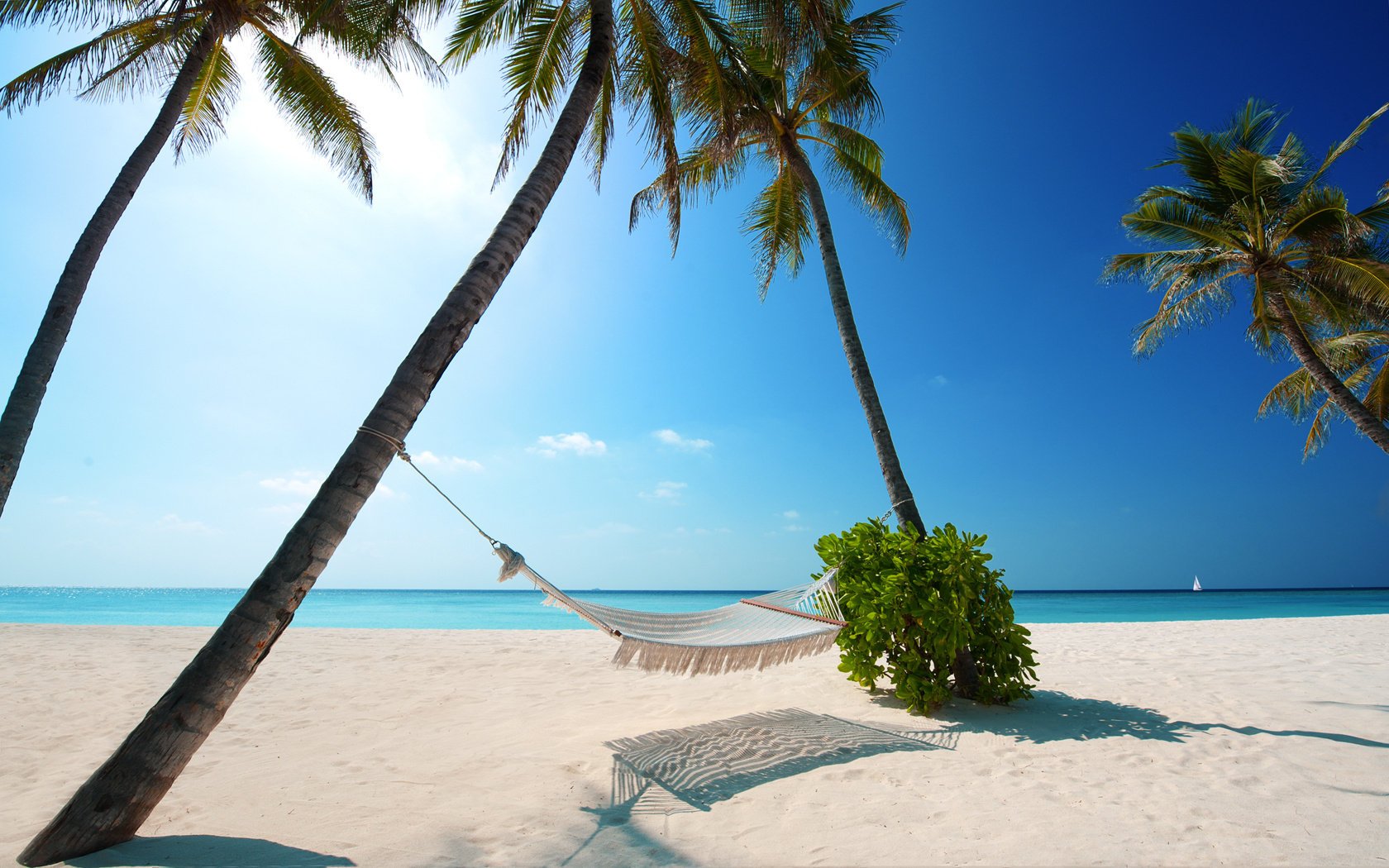 sommer hängematte meer sonne strand palmen himmel sand schatten busch kippen boot