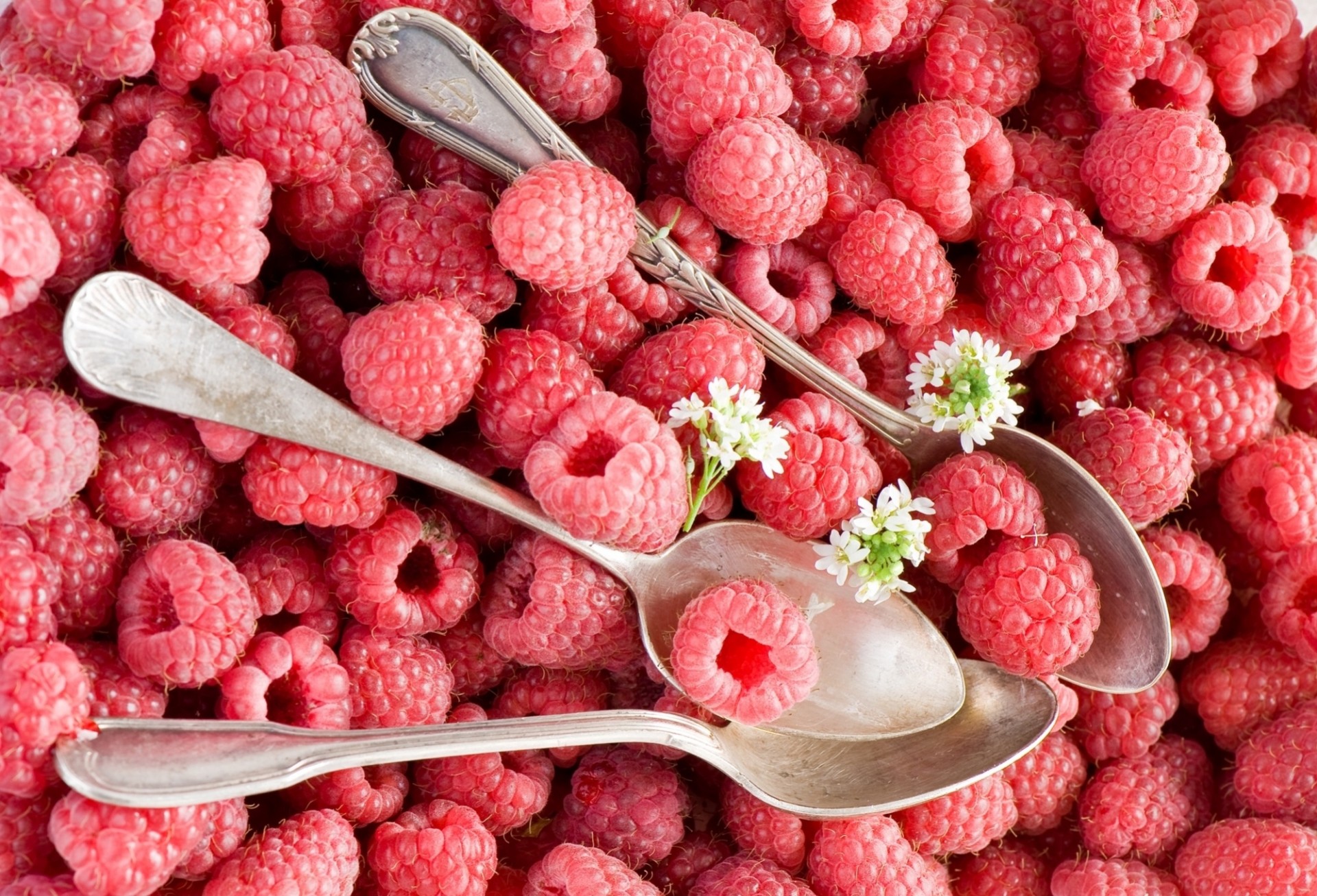 beeren himbeeren blumen löffel