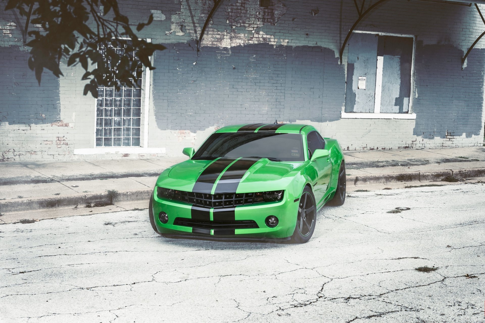 chevrolet camaro chevrolet camaro top view asphalt crack