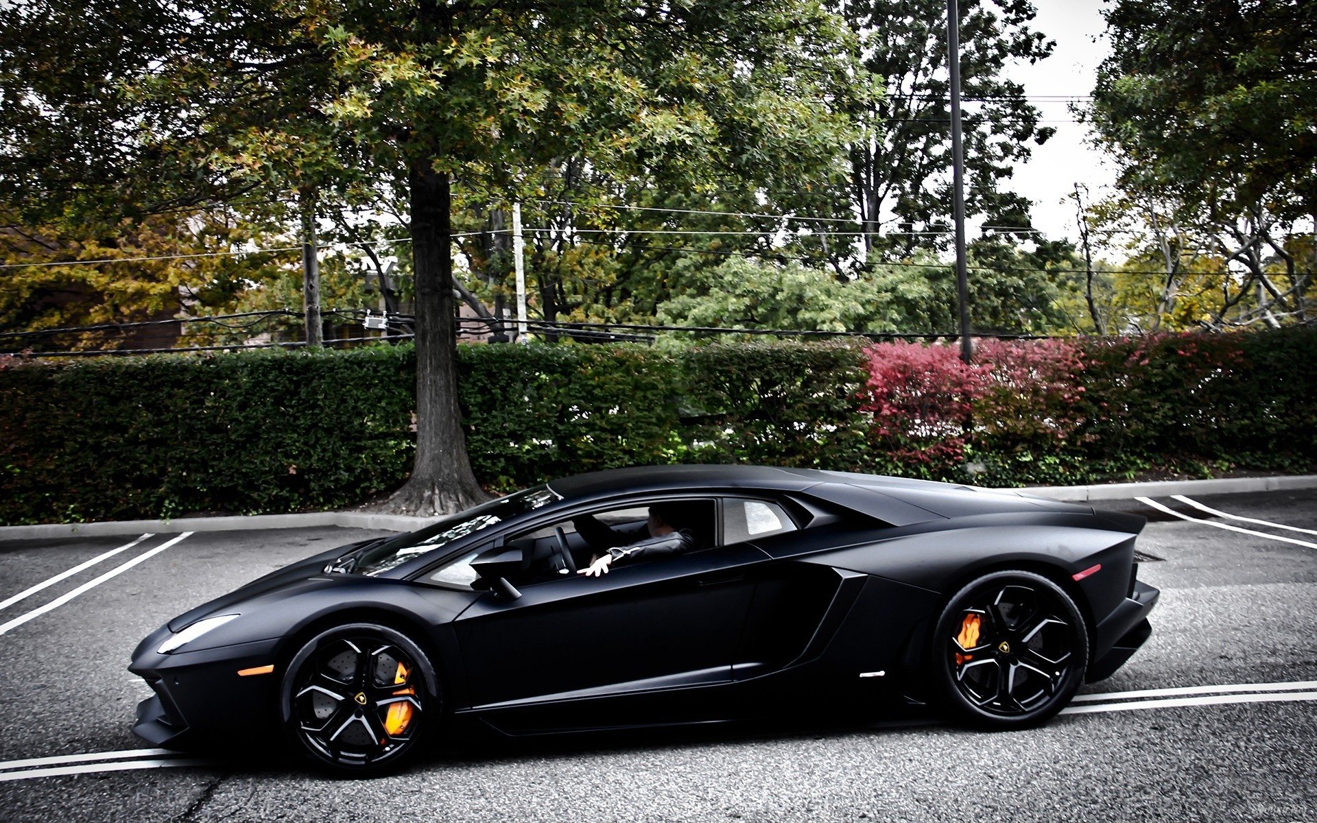 coche lamborghini negro verano en el trabajo escritorio