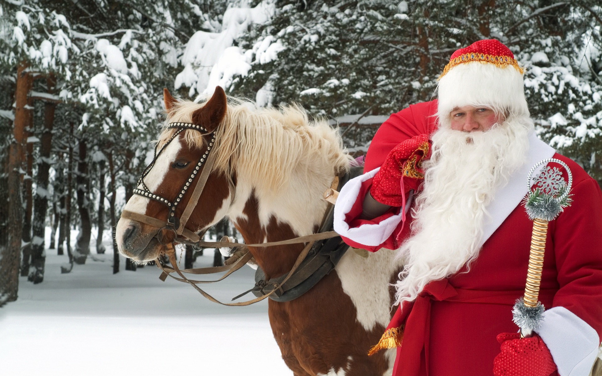 father christmas winter holiday new year horse great ustyug