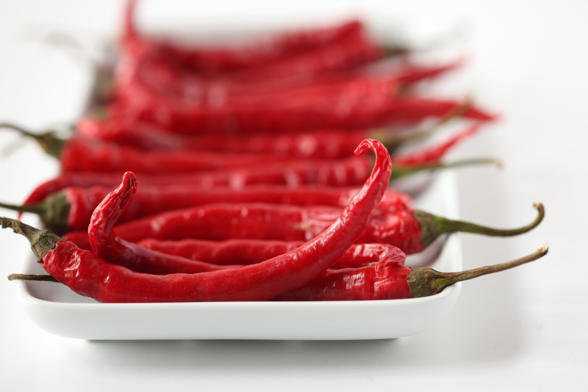 peperoncino peperoncino rosso macro