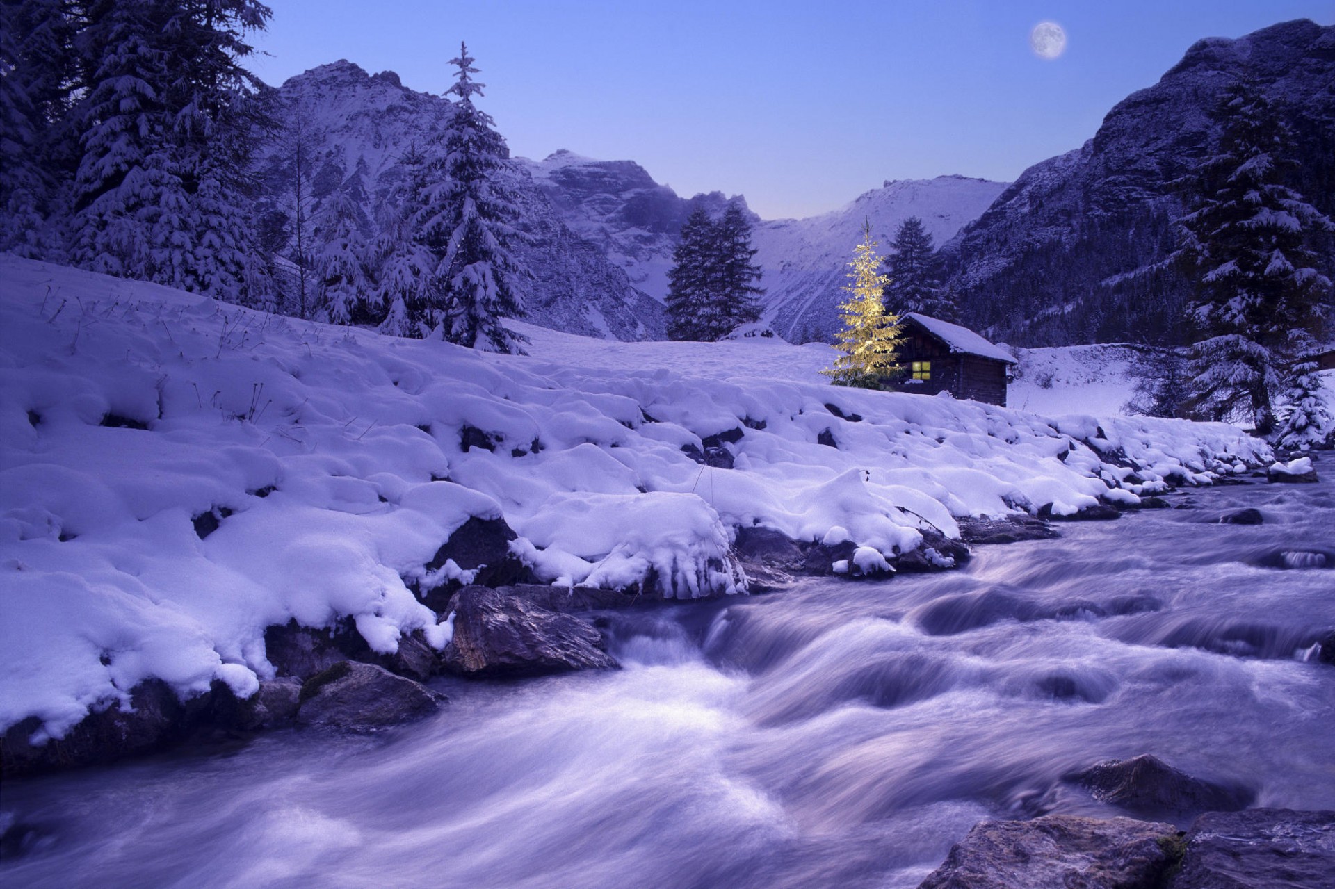 winter snow river christmas tree