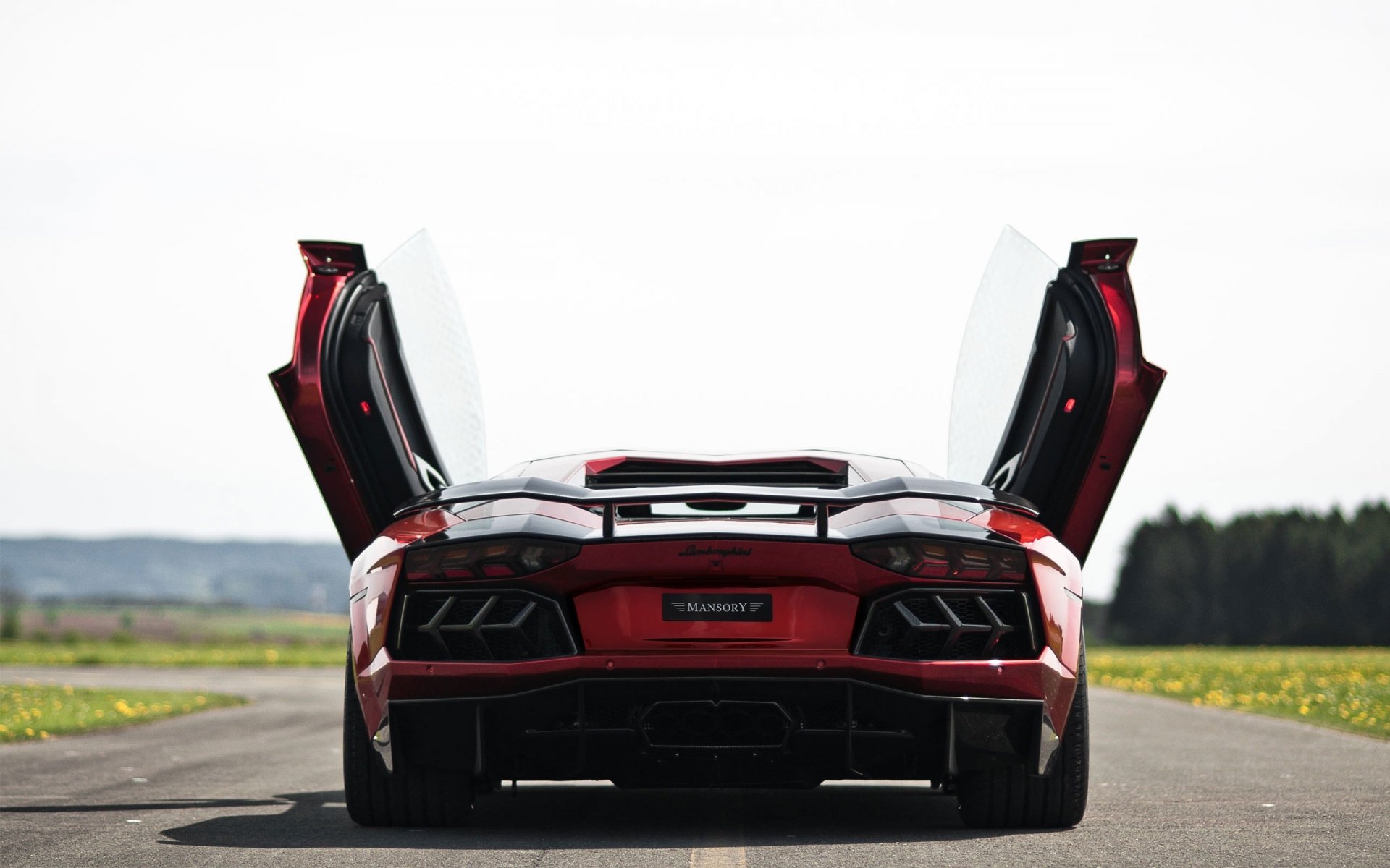 lamborghini aventador supercar road ass door