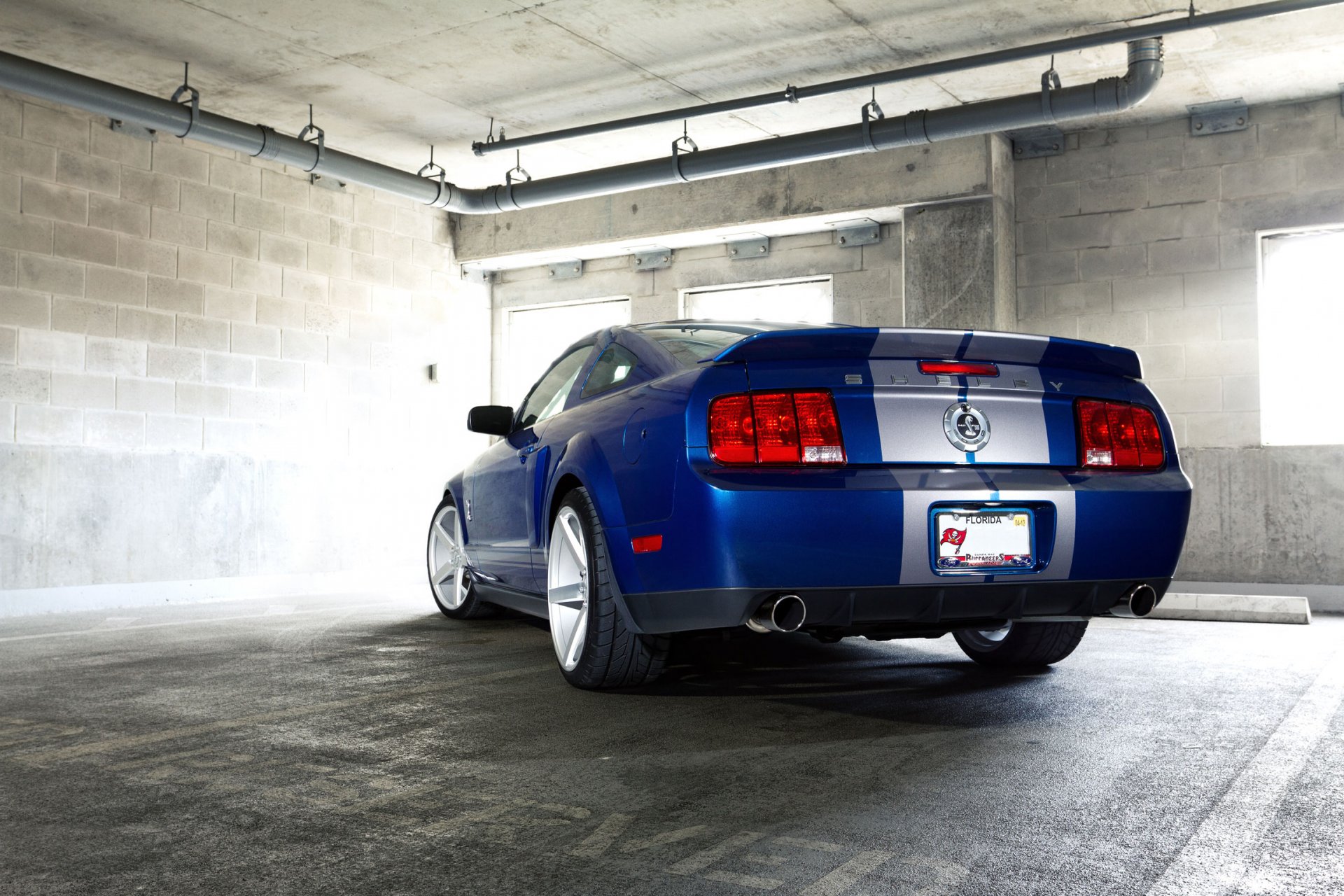 ford mustang gt500 shelby auto tapeten