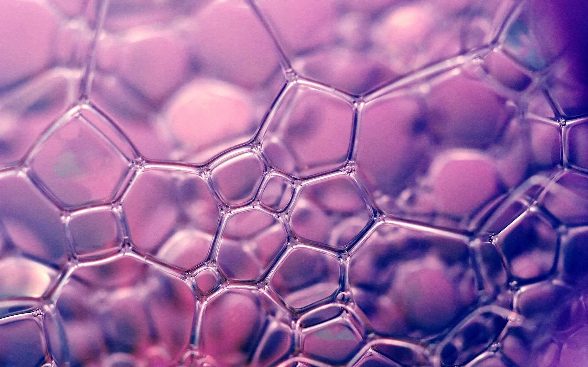 bubbles purple wallpaper