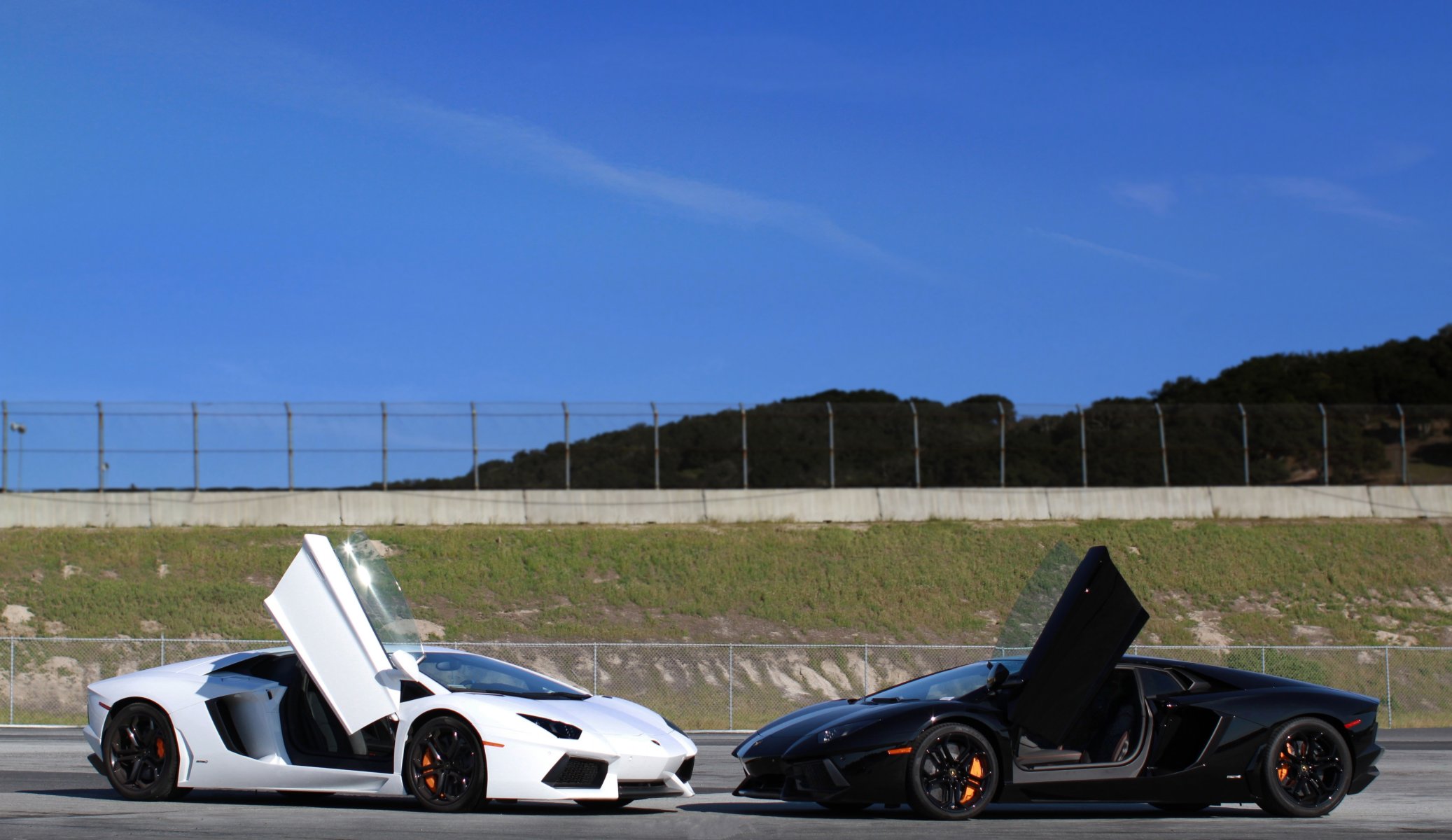 lamborghini aventador lp700-4 blanc noir lamborghini aventador rouge portes nilotina ciel