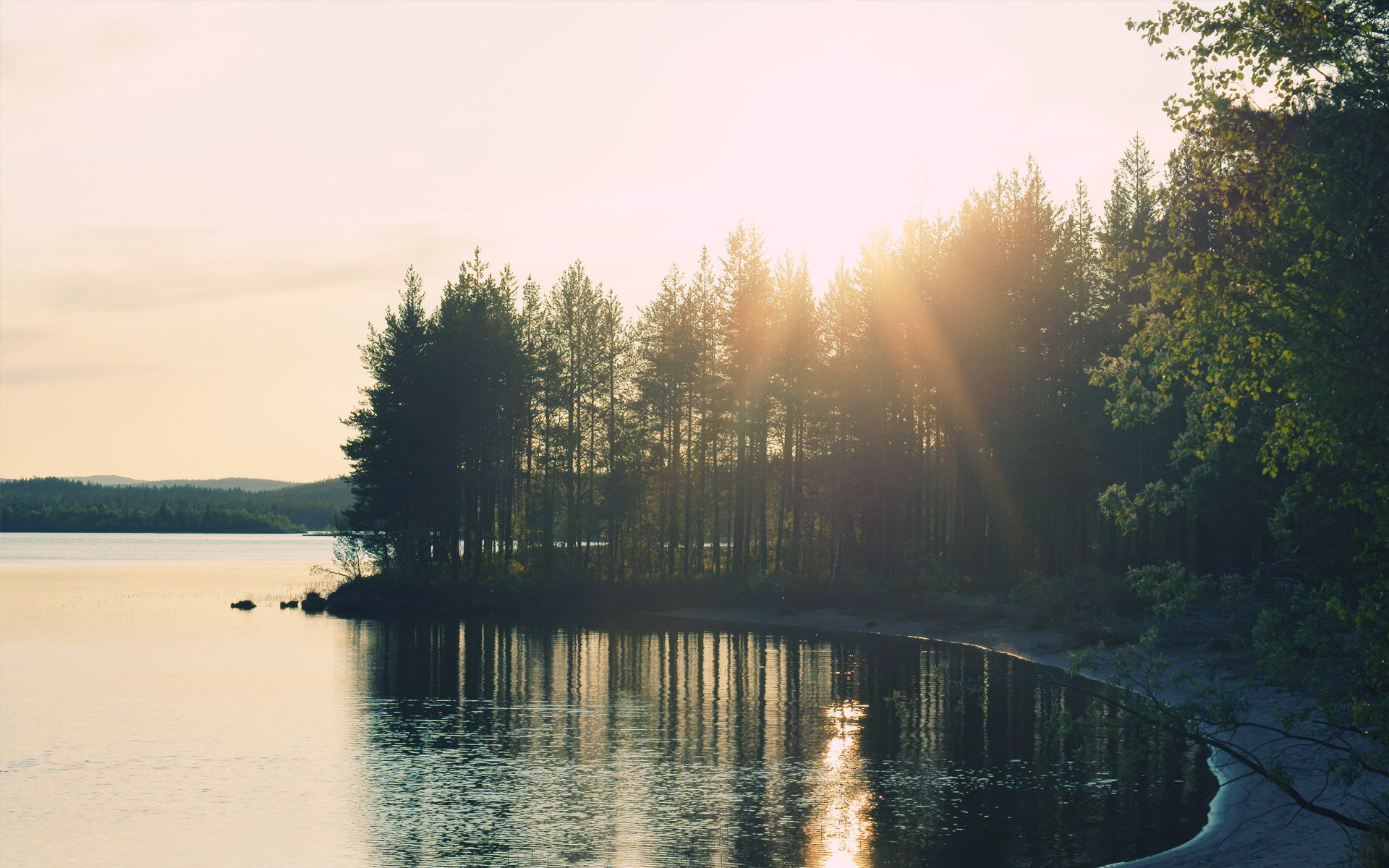 nature forêt lumière lac