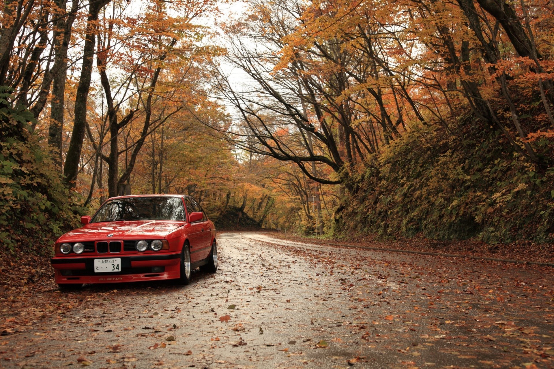 bmw. red bmw autumn leave