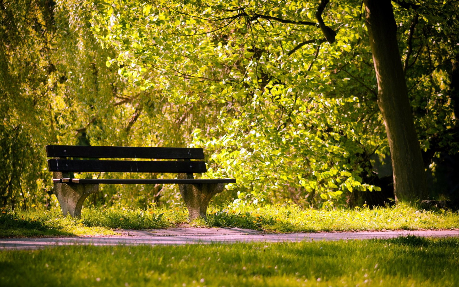 ummer bench park