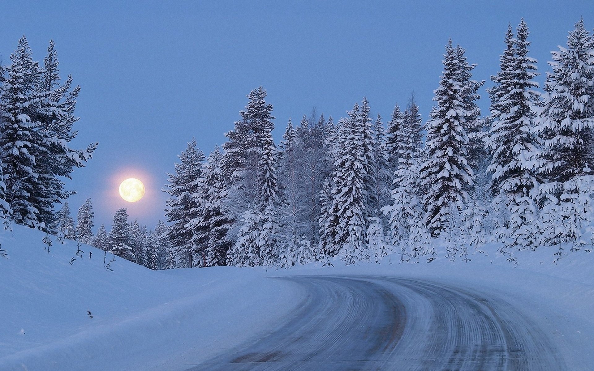 hiver neige crépuscule arbres lune forêt route