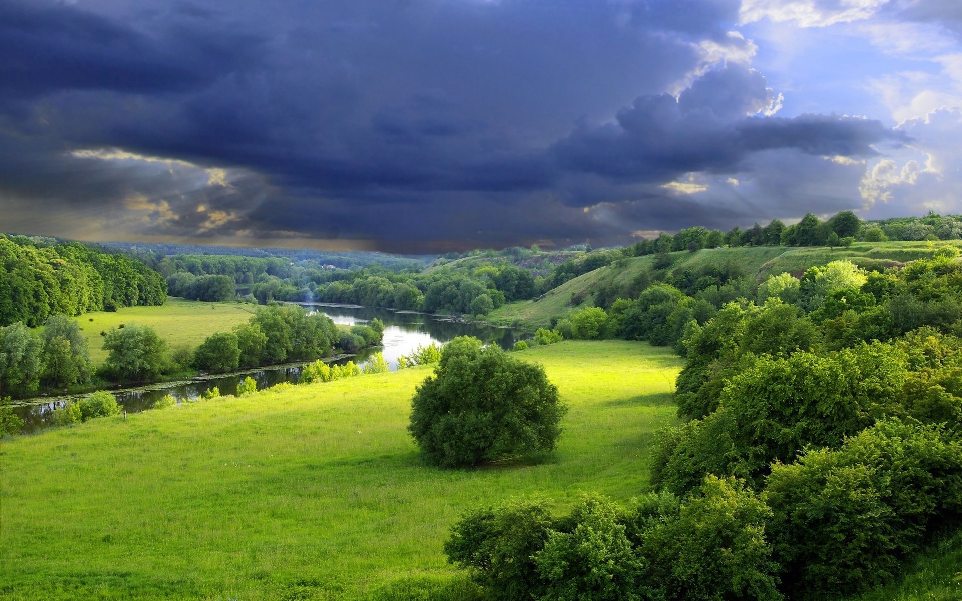 fluss natur grün sommer bäume