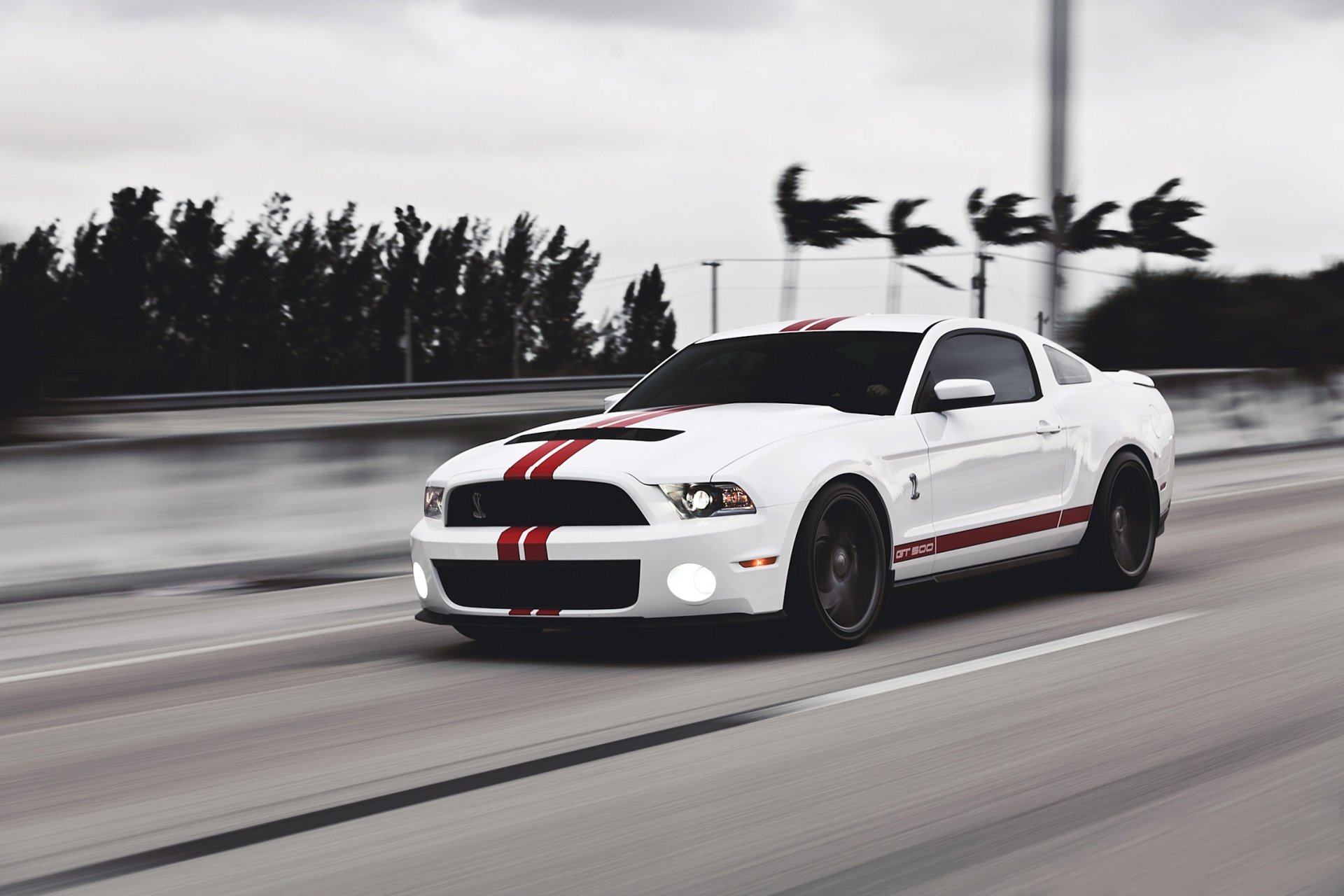 ford mustang gt500 shelby muscle car white muscle car road speed red stripe