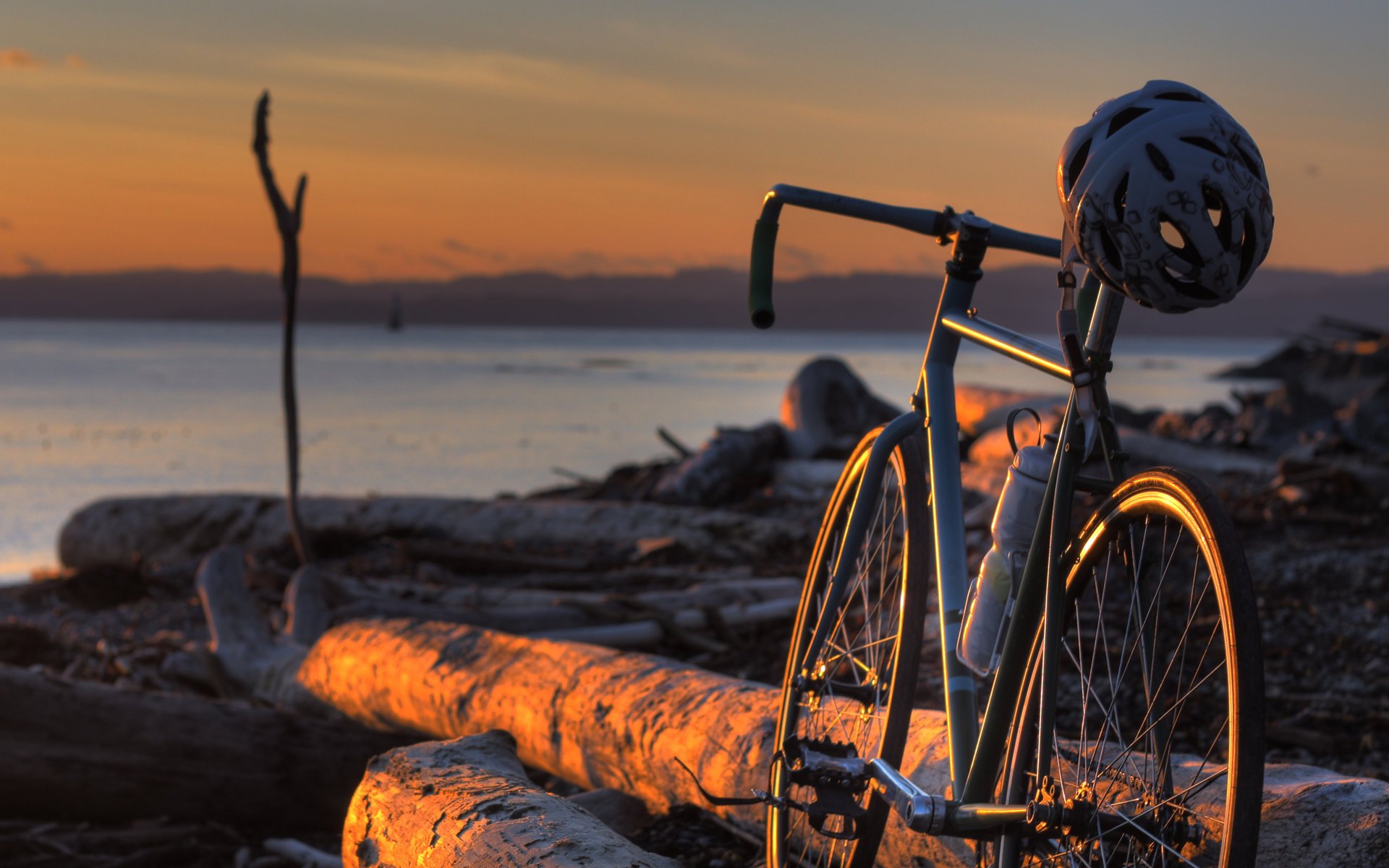 casco tronchi spiaggia bici