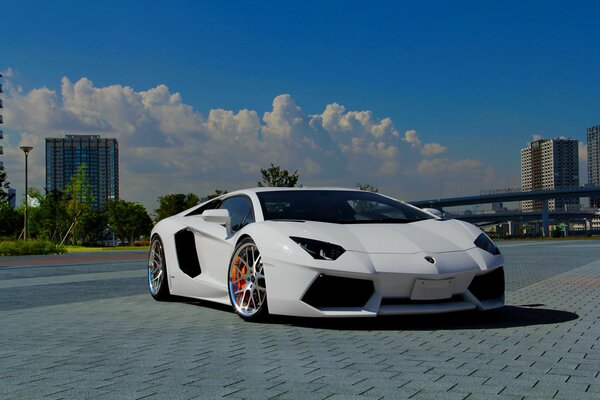 Vista frontale della Lamborghini Aventador bianca