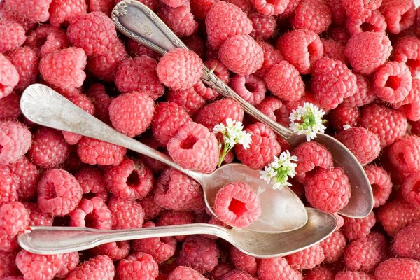 Dessertlöffel in gesammelten Himbeeren