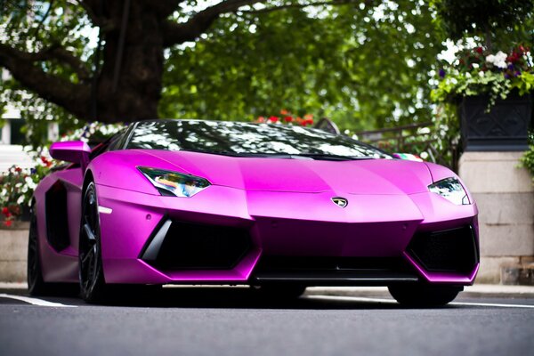 Lamborghini of bright saturated color on the street