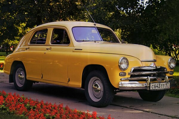 Gaz m-20v stands on the road near the lawn and trees