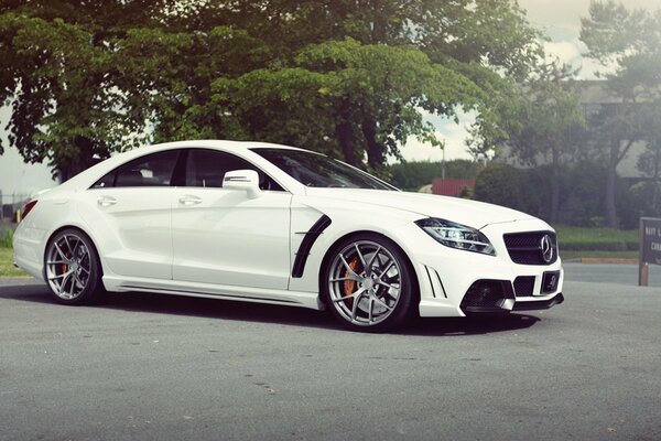 Snow-white Mercedes Benz on the street next to the trees