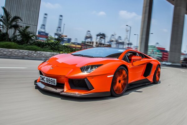 Pomarańczowy lamborghini aventador lp900-4 molto veloce jeździ po drodze