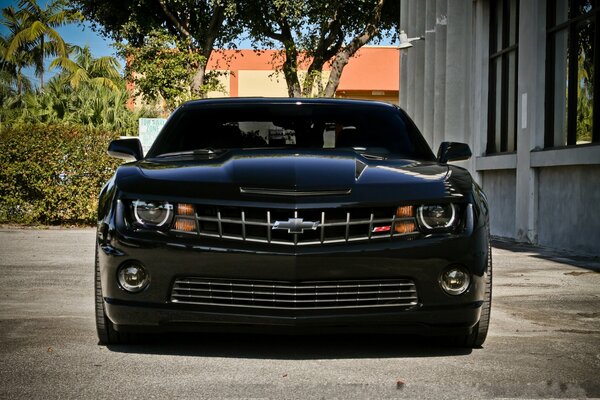 Chevrolet Camaro ss noir teinté près du bâtiment