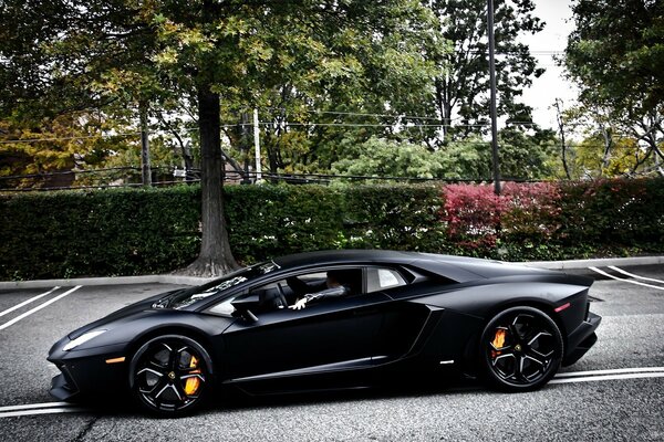 Lamborghini negro, vista lateral